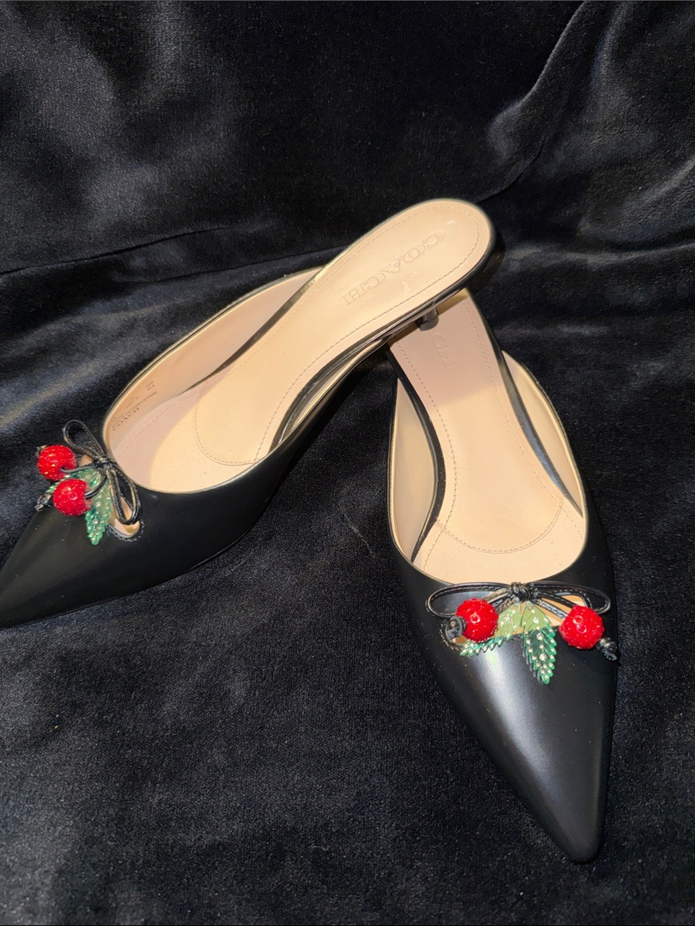 Coach Black Pointed-Toe Mules with Red Cherry Embellishments